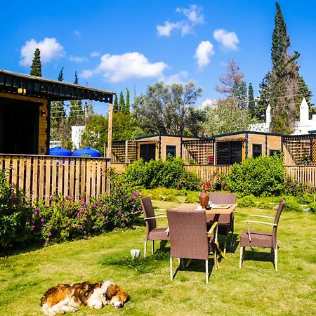 Bitez Tiny House & Bodrum