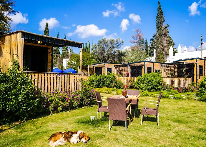 Bitez Tiny House & Bodrum